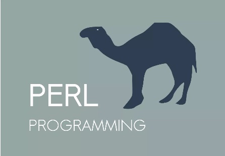 PERL Training Course Online